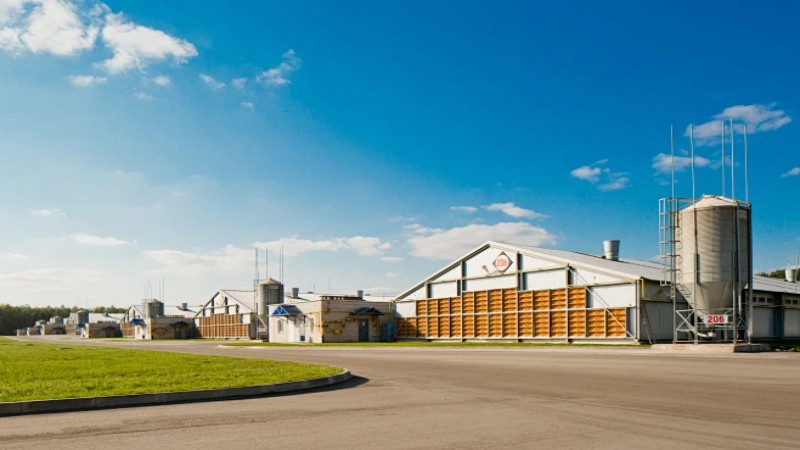 皮带机紧急停止装置应该如何定期检查